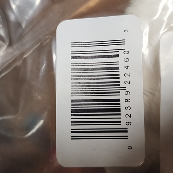 Mini sea turtle - Picture 4 of 4